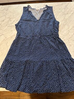 GAP Blue Floral Sleeveless Tiered Dress